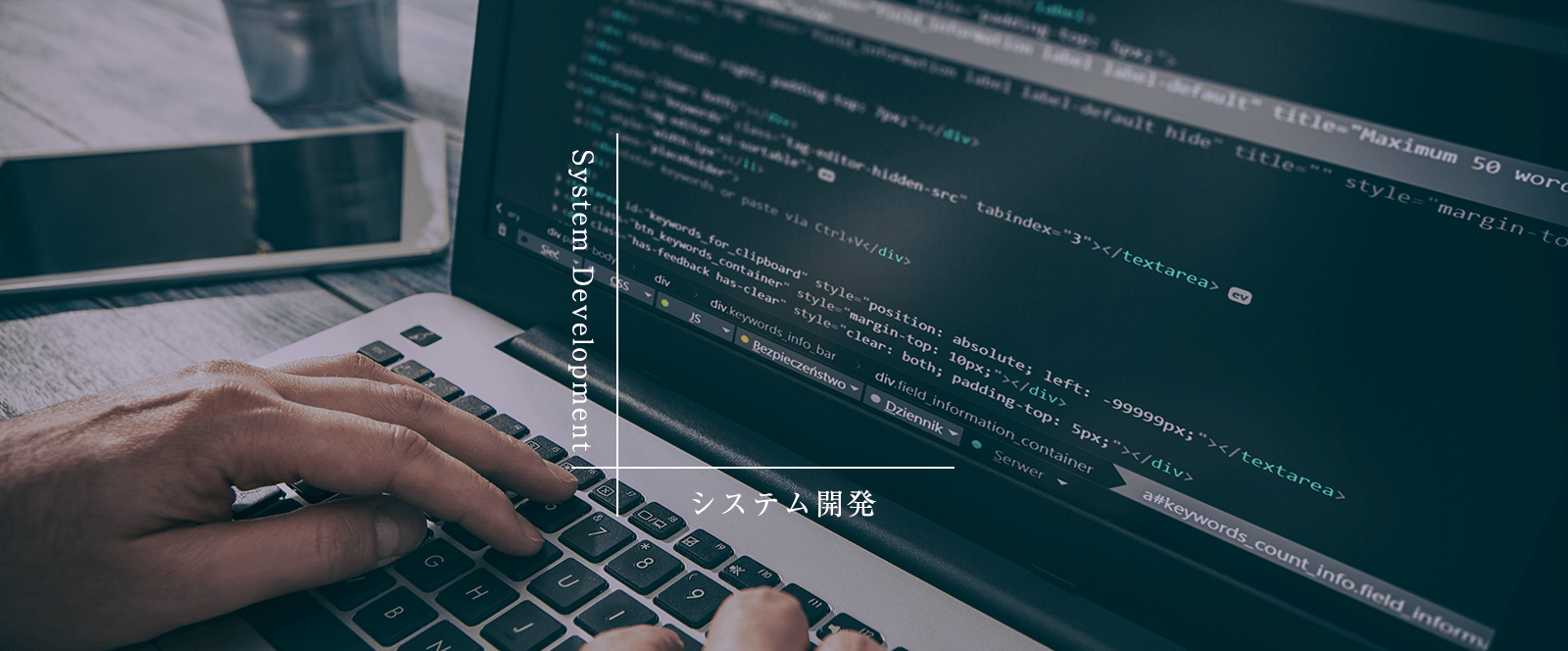 システム開発