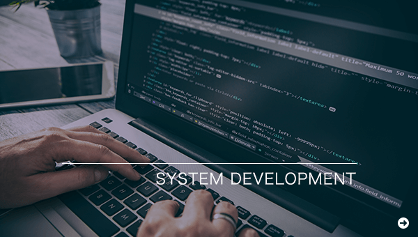 SYSTEM DEVELOPMENT