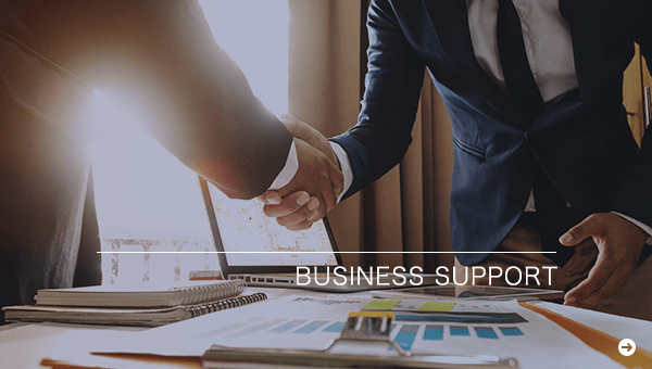 BUSINESS SUPPORT